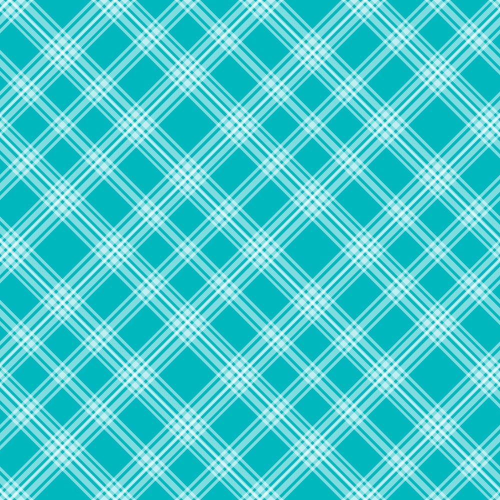 Berry Picnic Checks Pattern 8 Minky Fabric