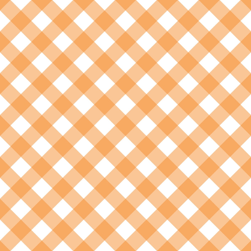 Berry Picnic Checks Pattern 9 Minky Fabric