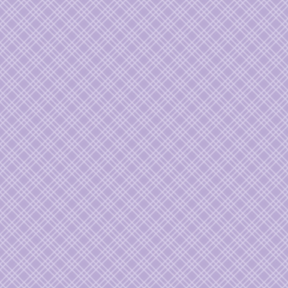 Sugarplum Checks Pattern 10 Minky Fabric