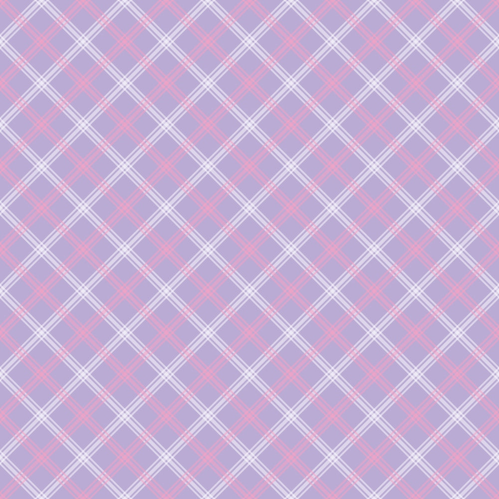Sugarplum Checks Pattern 14 Minky Fabric