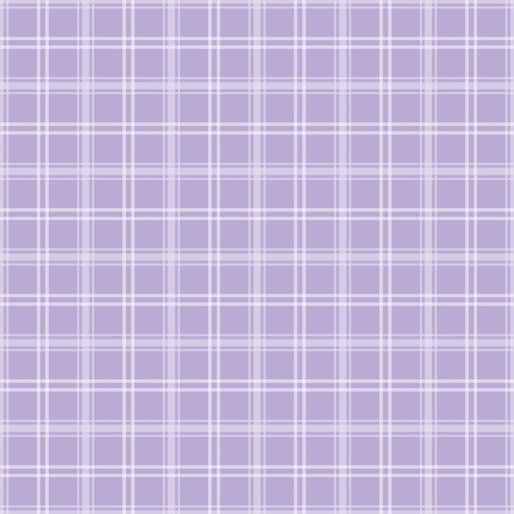 Sugarplum Checks Pattern 16 Minky Fabric