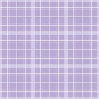 Sugarplum Checks Pattern 16 Minky Fabric