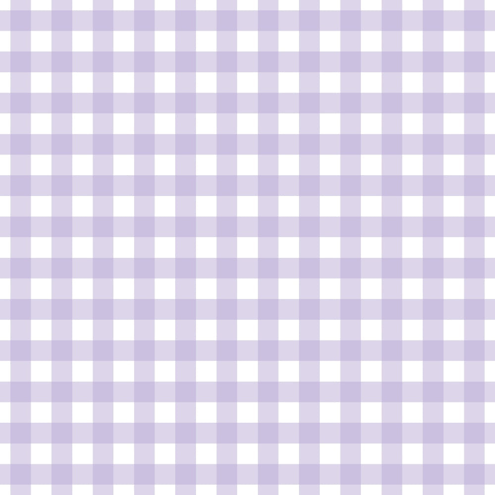 Sugarplum Checks Pattern 7 Minky Fabric