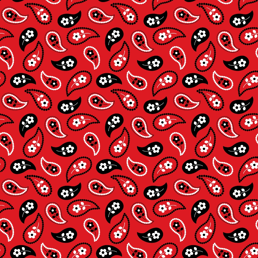 Scarlet Paisley Pattern 11 Minky Fabric