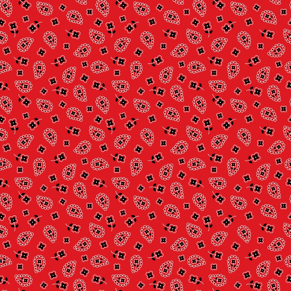 Scarlet Paisley Pattern 3 Minky Fabric