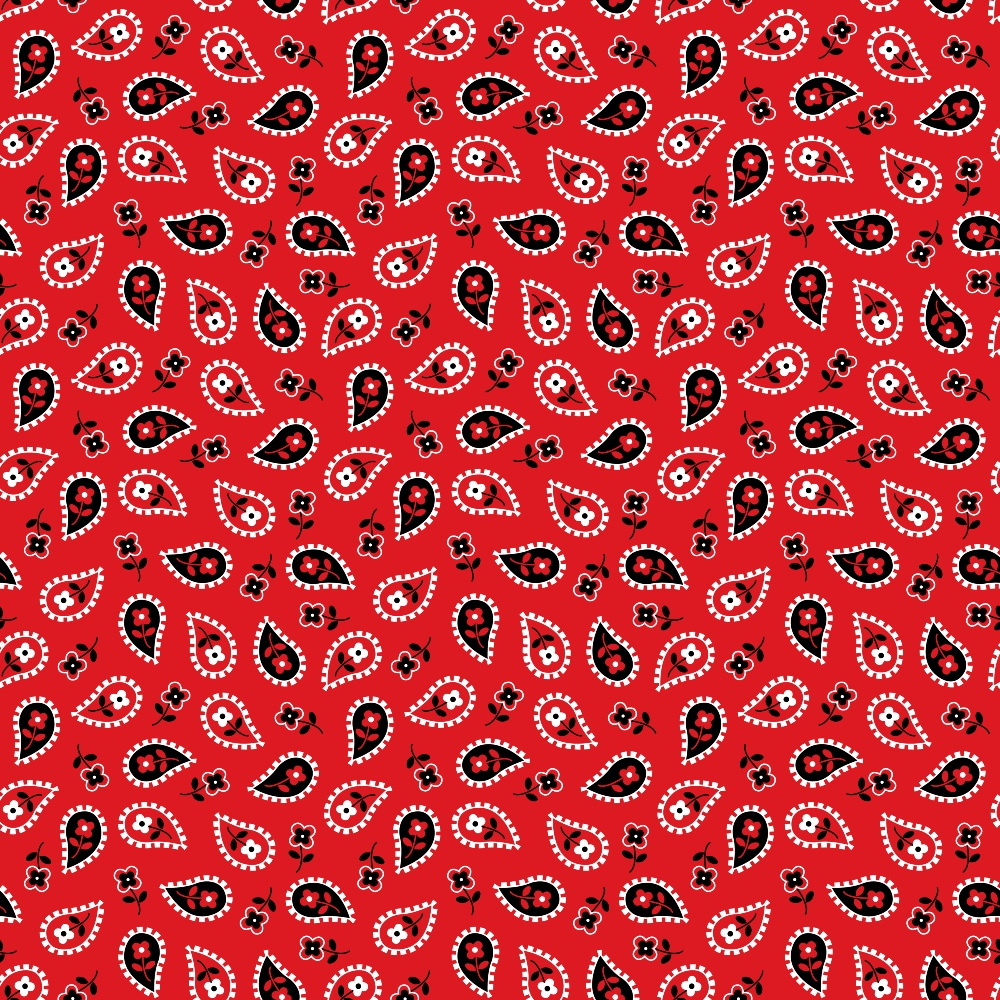 Scarlet Paisley Pattern 6 Minky Fabric