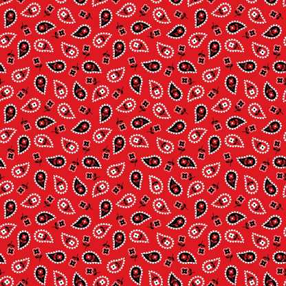 Scarlet Paisley Pattern 6 Minky Fabric