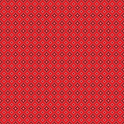 Scarlet Paisley Pattern 9 Minky Fabric