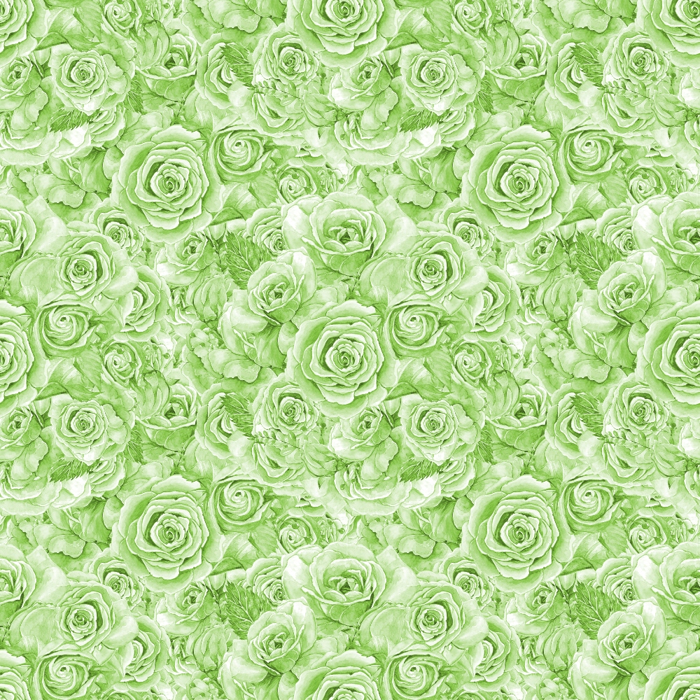 Sepia Blooms Pattern 69 Minky Fabric
