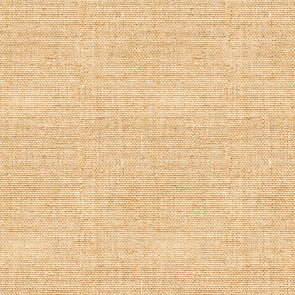 Golden Weave Pattern 20 Minky Fabric