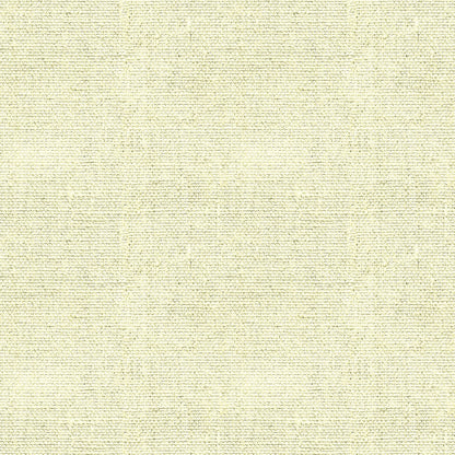 Burlap Linen Pattern 91 Quilting Cotton Fabric