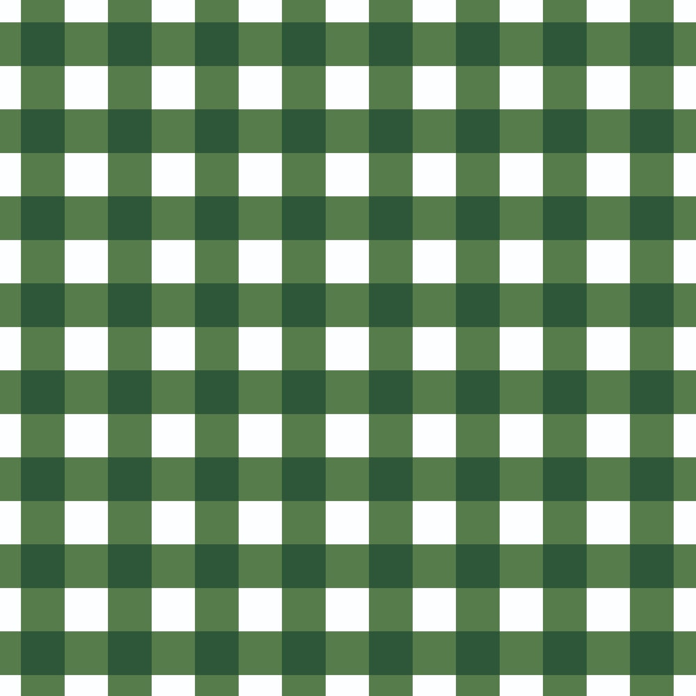 Sweet Strawberries Green Gingham Minky Fabric