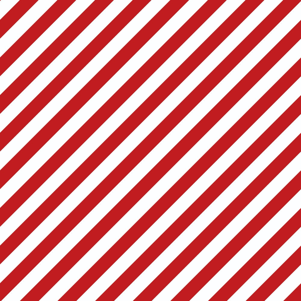 Sweet Strawberry Red Diagonal Stripes Minky Fabric