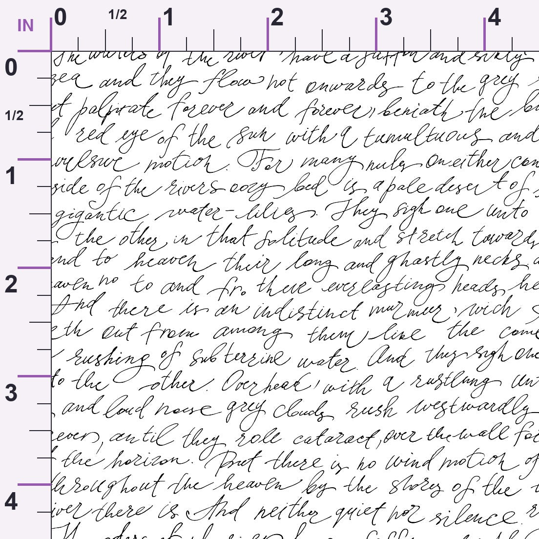 Antique Script Pattern 11 Minky Fabric