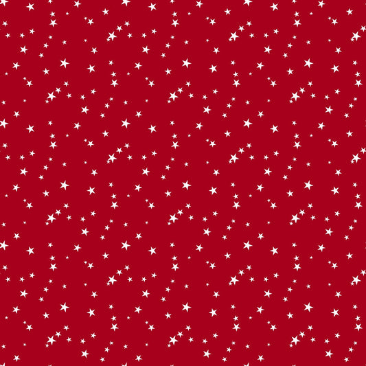 Country Christmas Pattern 12 Quilting Cotton Fabric