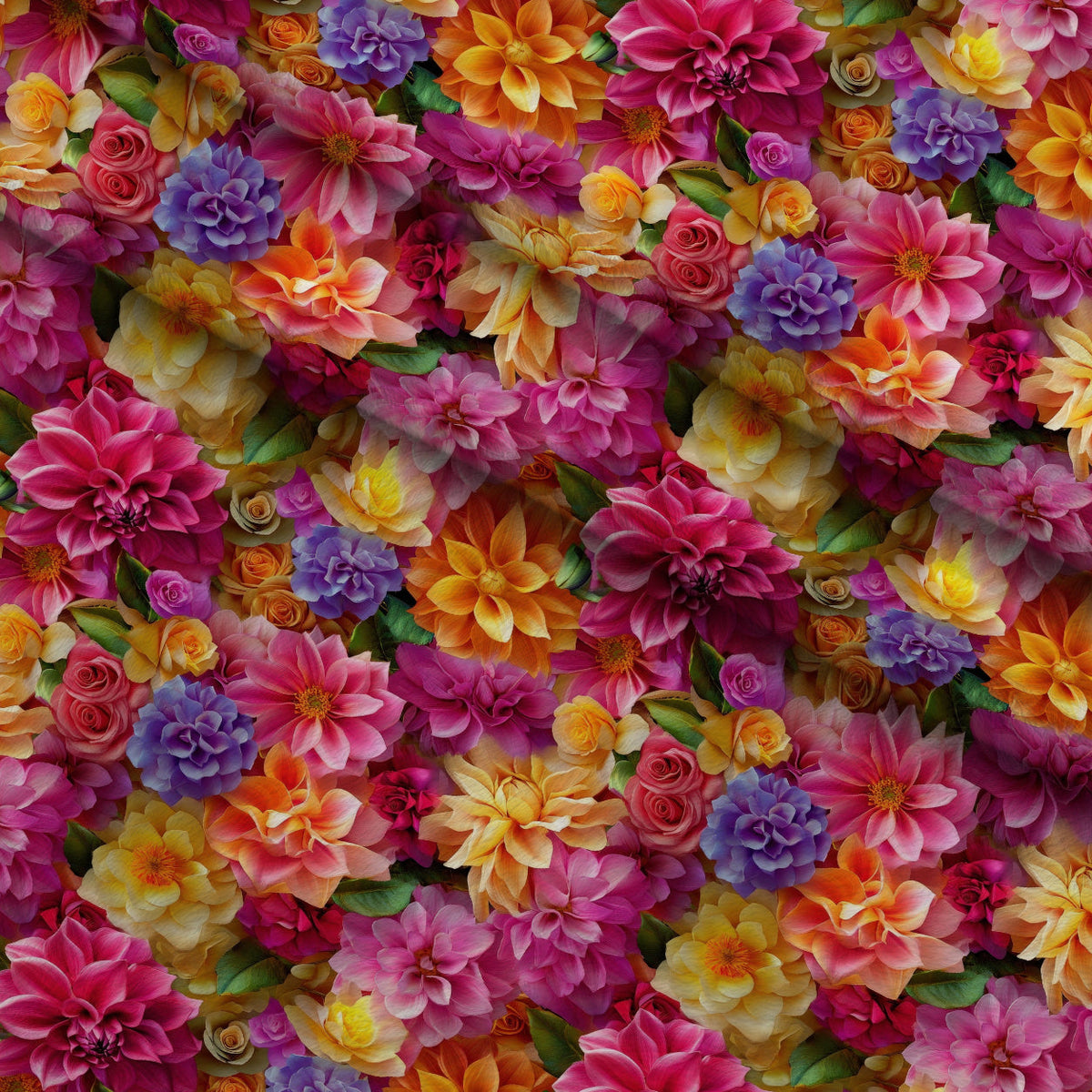 Dahlia Dreams Pattern 4 Minky Fabric