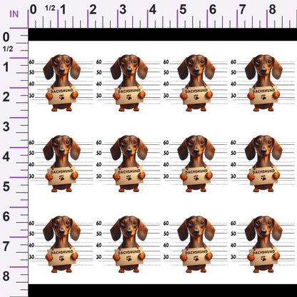 Doggie Mugshots Dachshund Pattern Minky Fabric