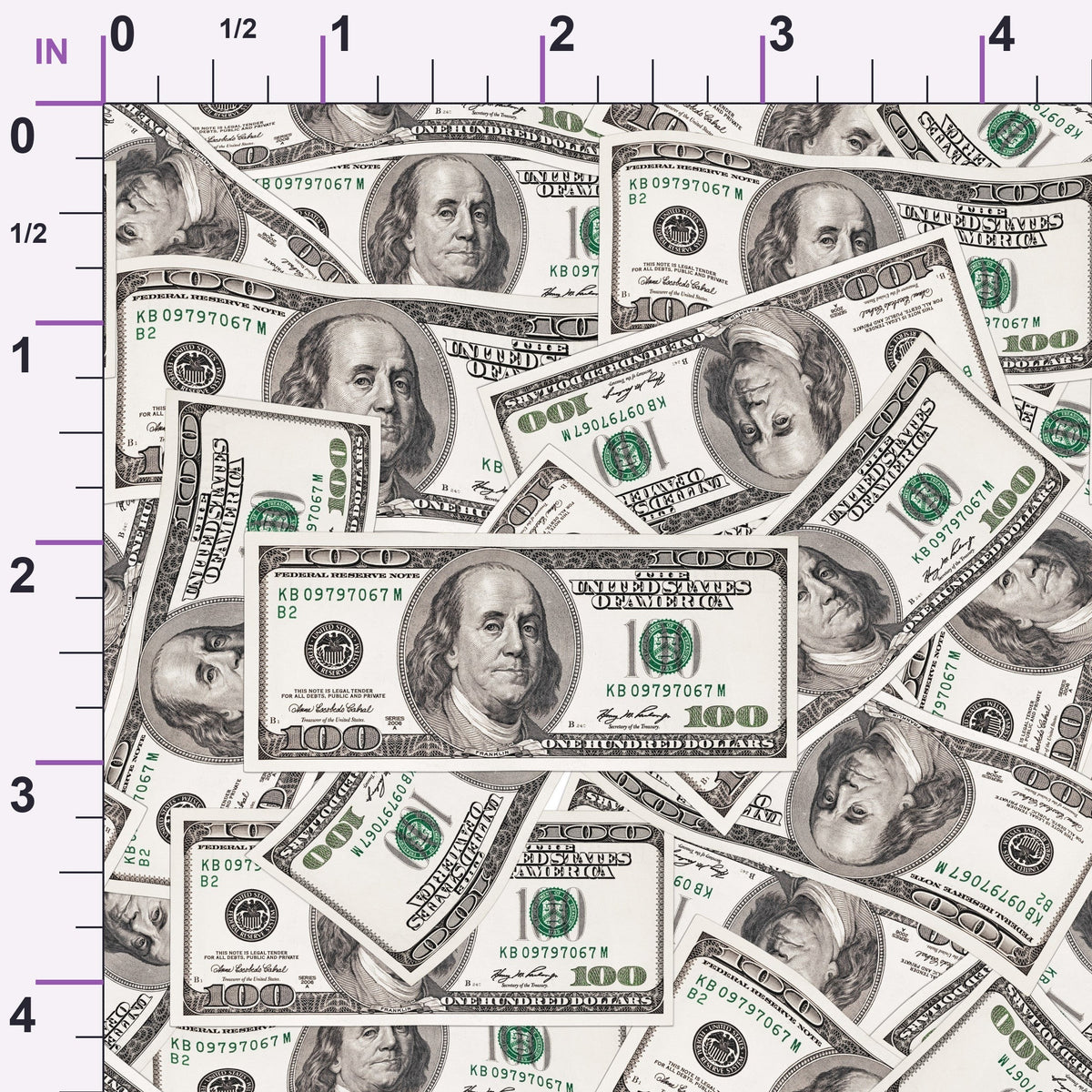 Franklin Fortune Pattern 1 Minky Fabric