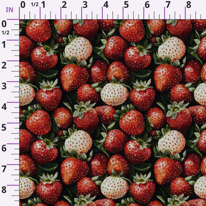 Hearthside Berry Garden Pattern 17 Minky Fabric