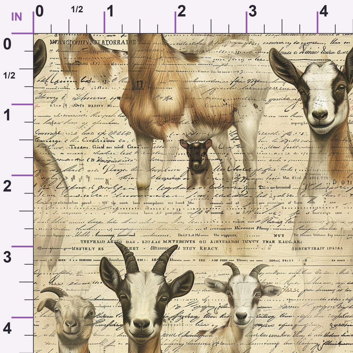 Homestead Ledger Pattern 30 Minky Fabric