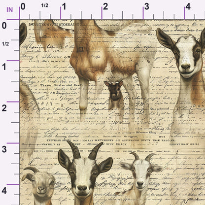 Homestead Ledger Pattern 30 Minky Fabric