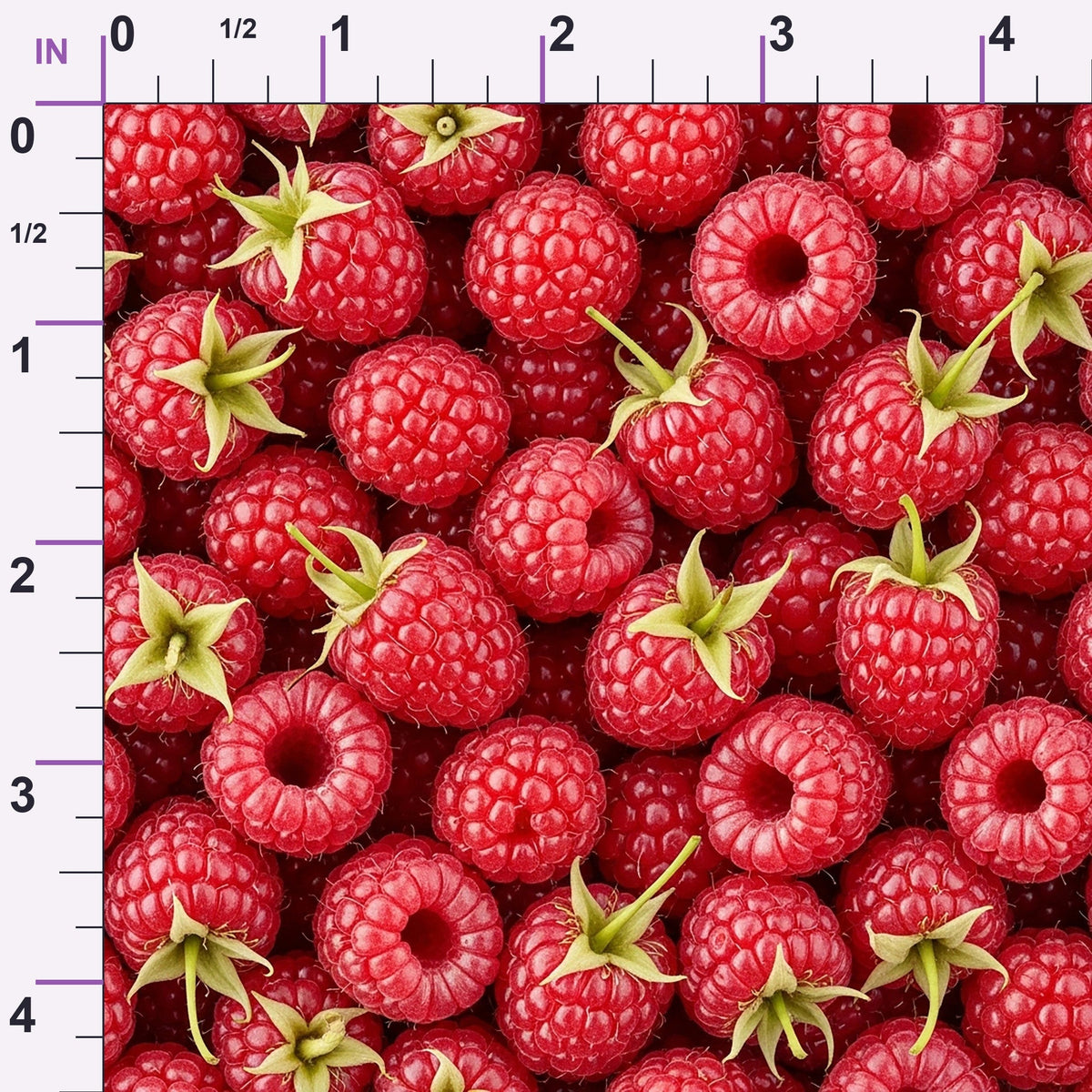 Juicy Medley Pattern 17 Minky Fabric