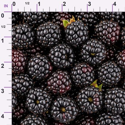 Juicy Medley Pattern 19 Minky Fabric