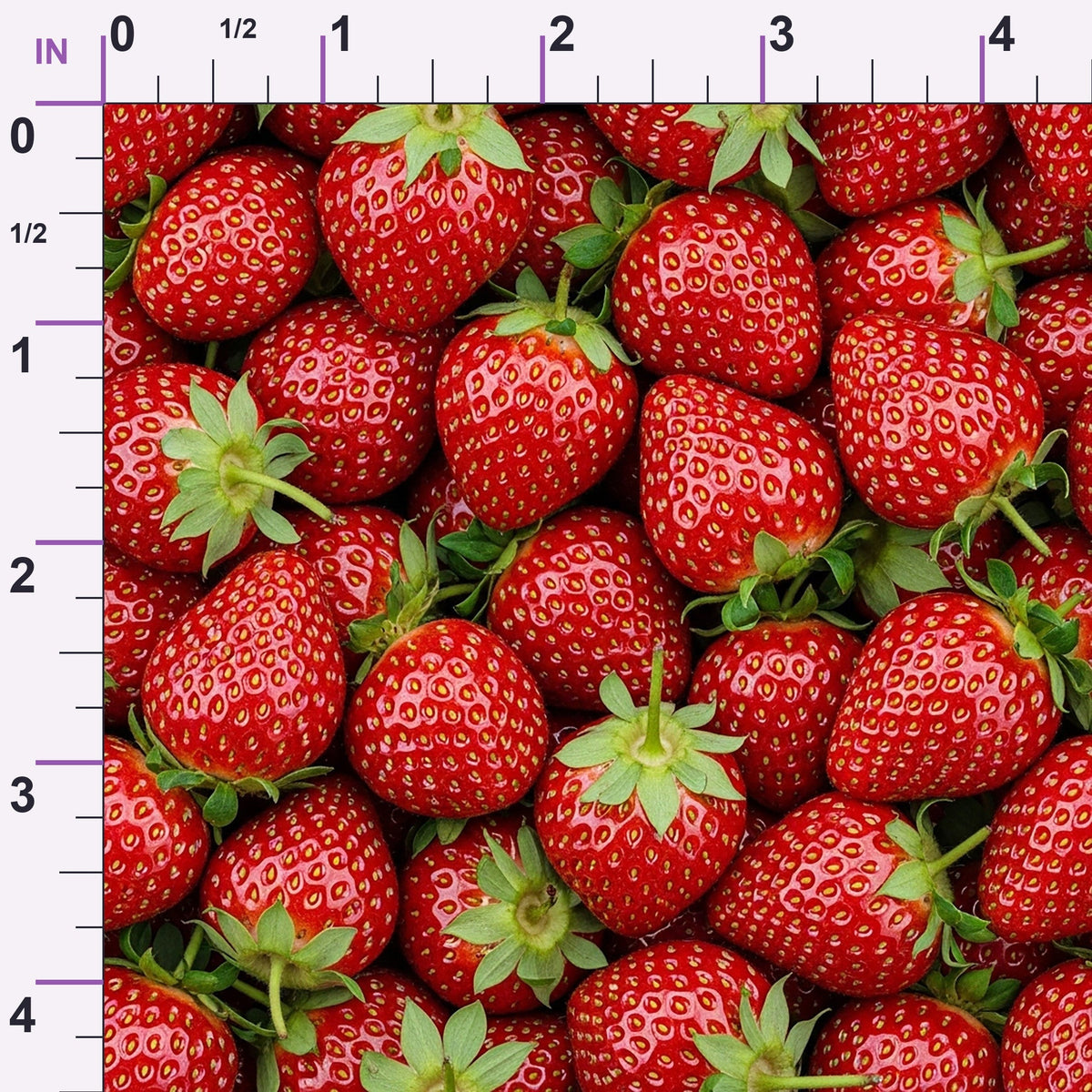 Juicy Medley Pattern 27 Minky Fabric