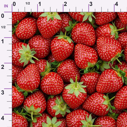 Juicy Medley Pattern 27 Minky Fabric