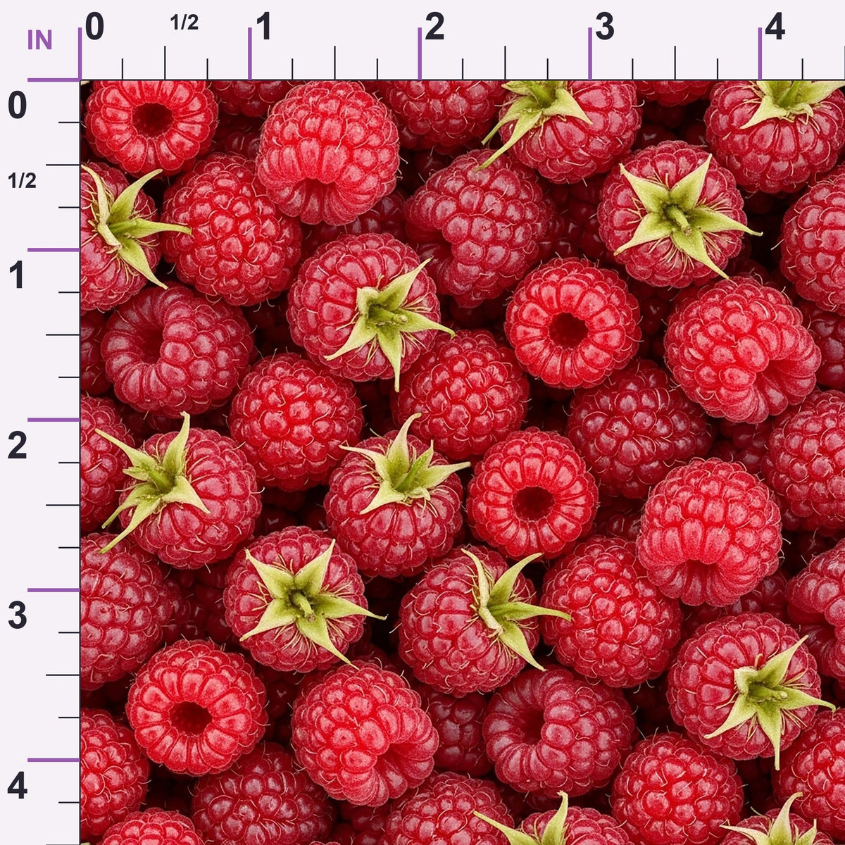 Juicy Medley Pattern 36 Minky Fabric