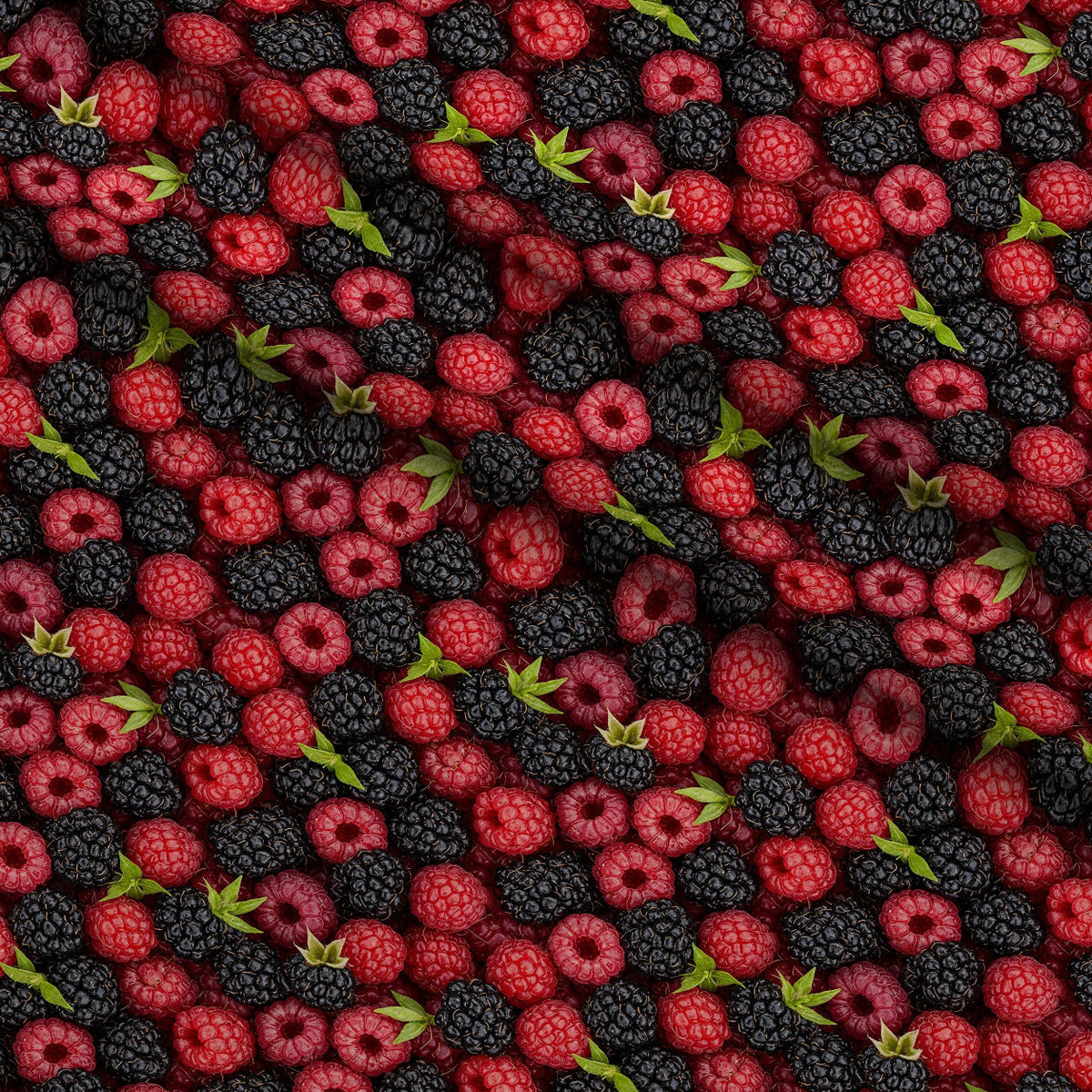 Juicy Medley Pattern 5 Minky Fabric