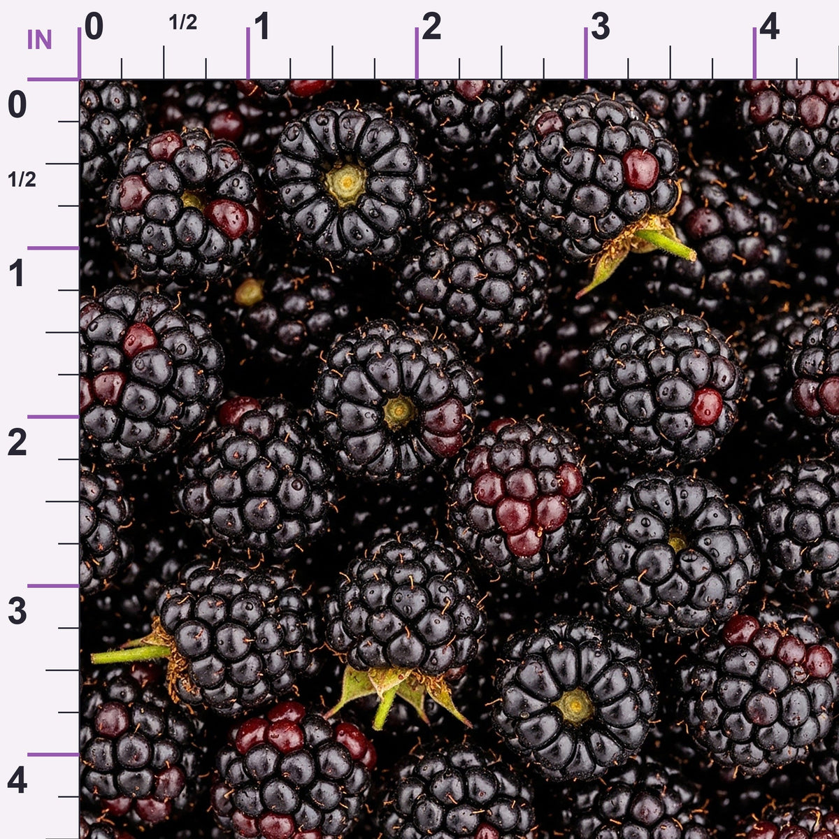 Juicy Medley Pattern 7 Minky Fabric