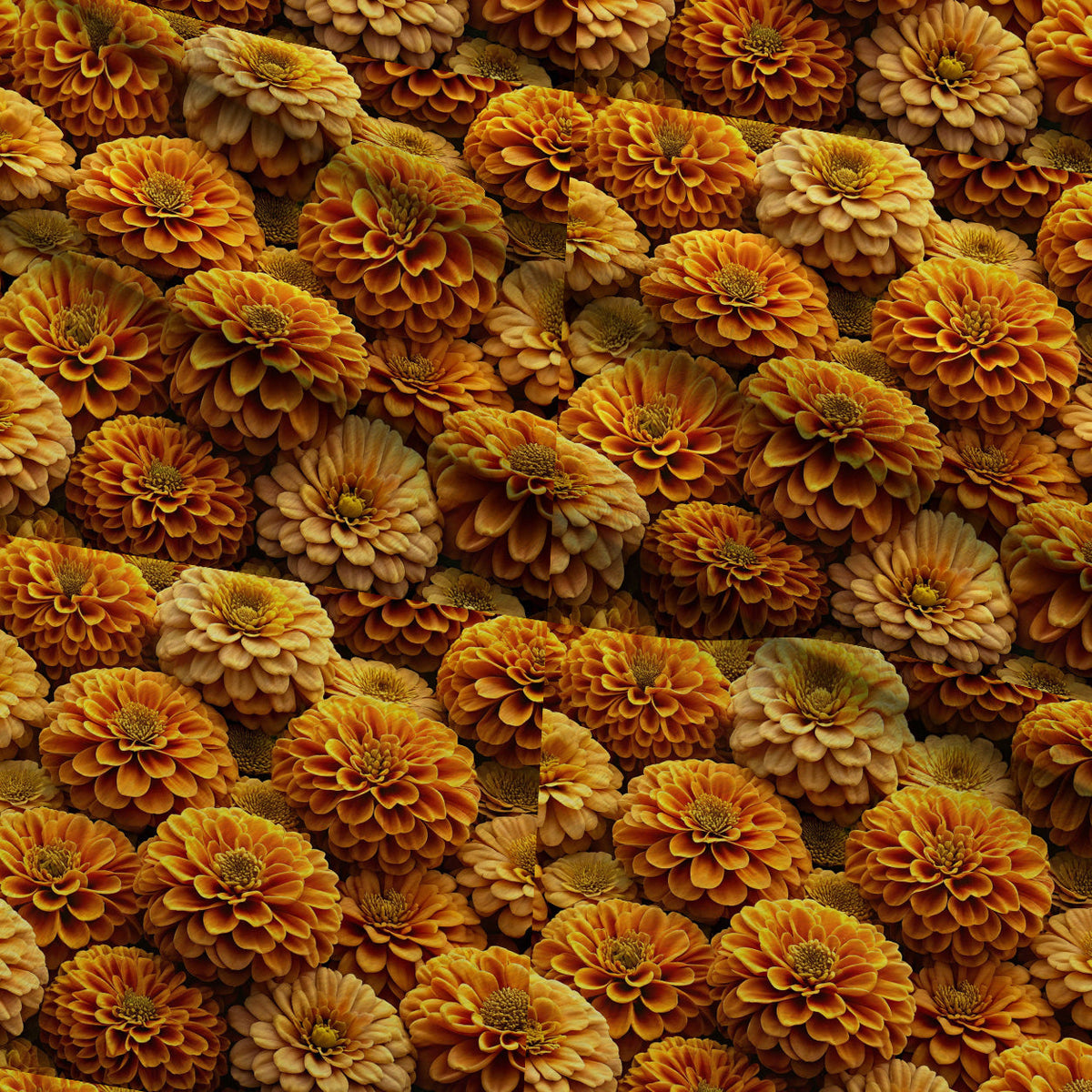 Lush Blooms Pattern 1 Minky Fabric