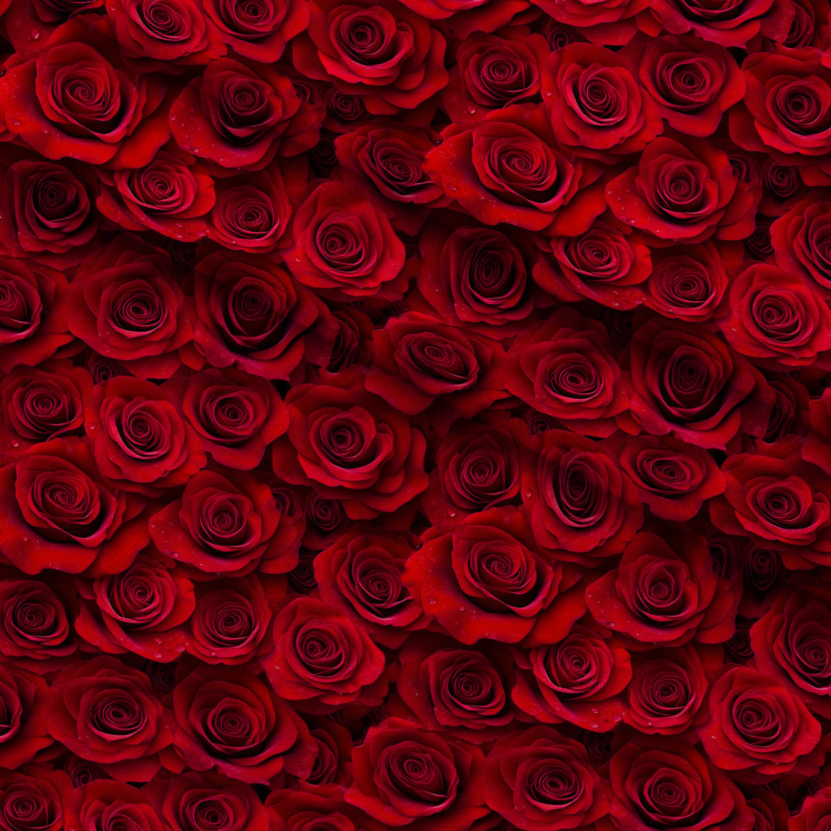 Lush Blooms Pattern 37 Minky Fabric