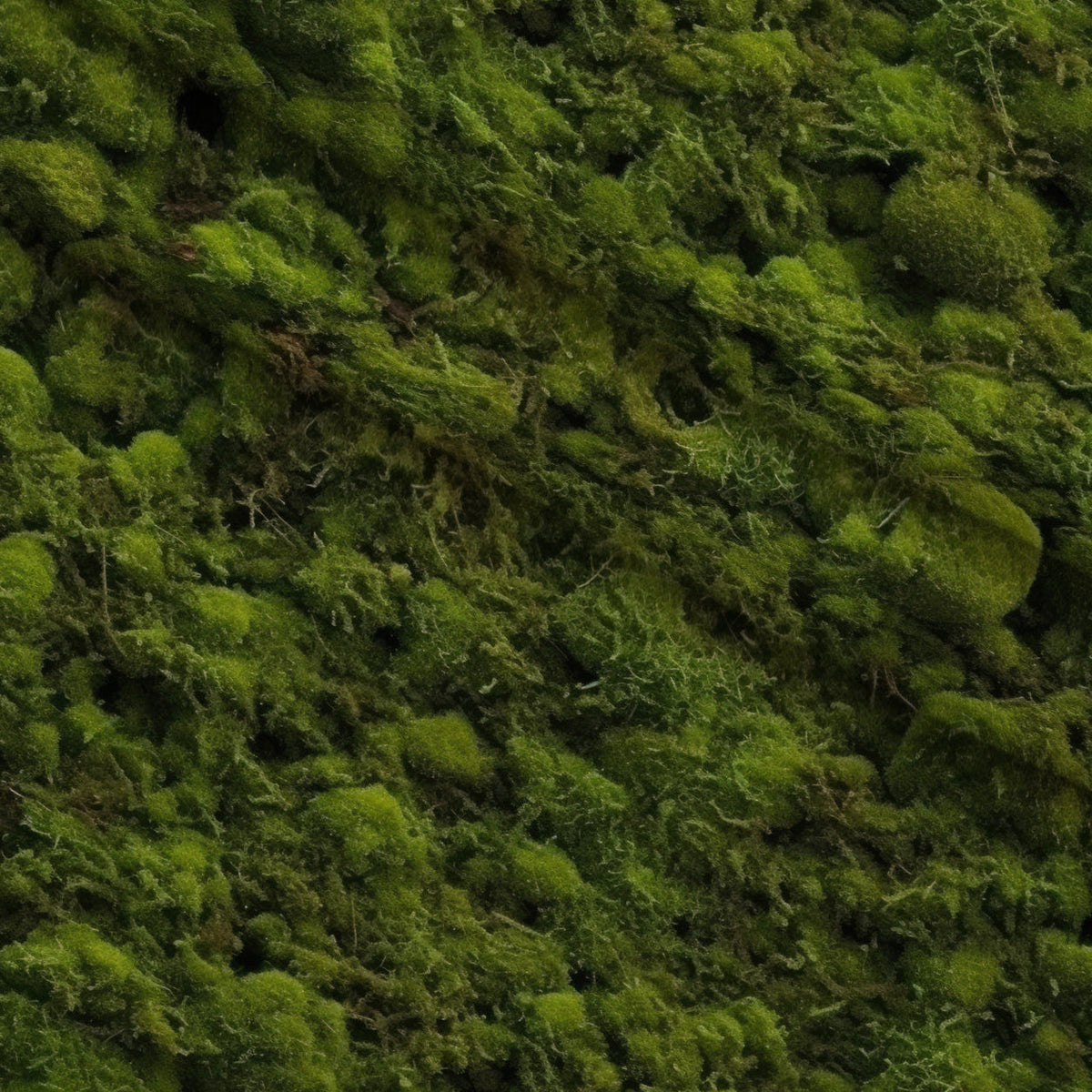 Moss Textures Pattern 12 Minky Fabric