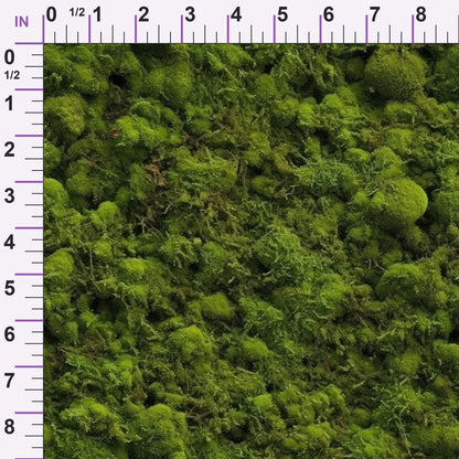 Moss Textures Pattern 12 Minky Fabric