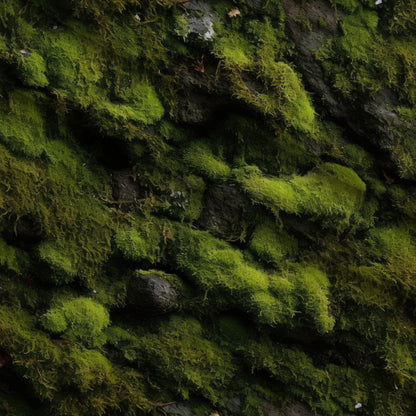 Moss Textures Pattern 4 Minky Fabric