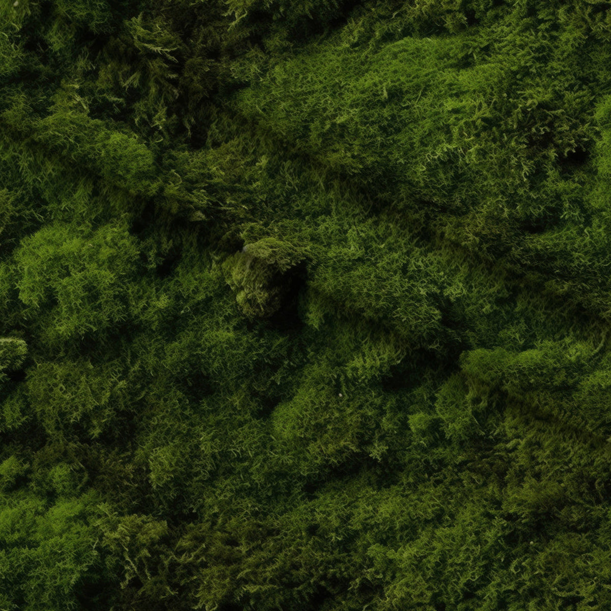 Moss Textures Pattern 6 Minky Fabric