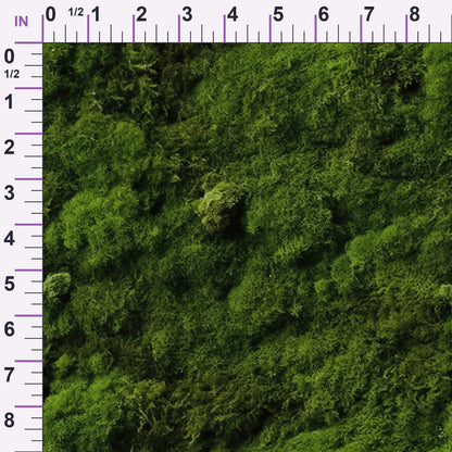 Moss Textures Pattern 6 Minky Fabric