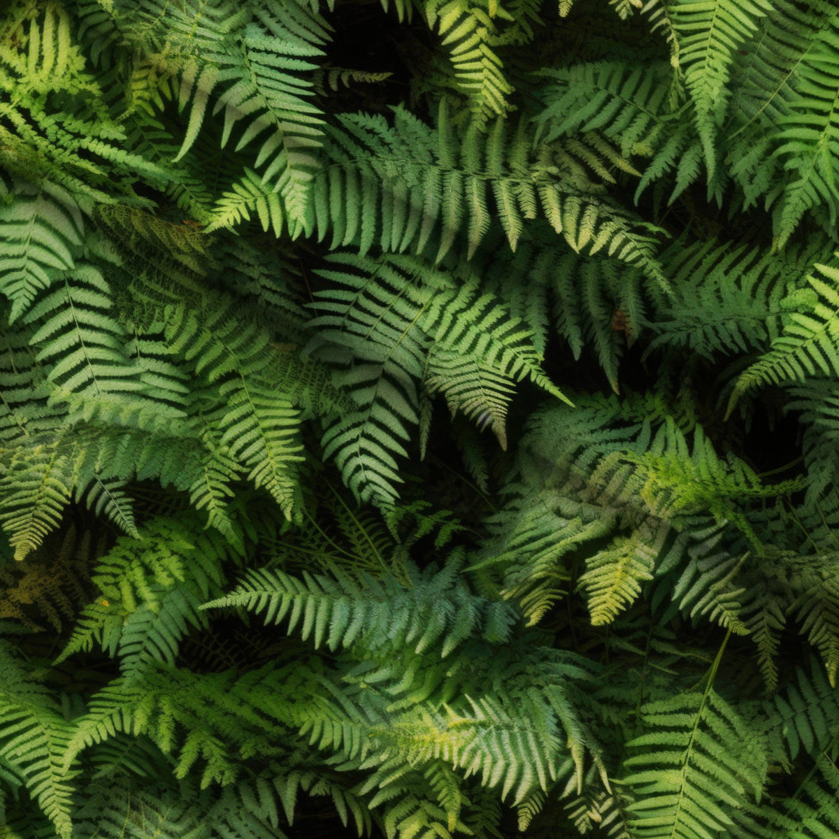 Nature Texture Pattern 16 Minky Fabric