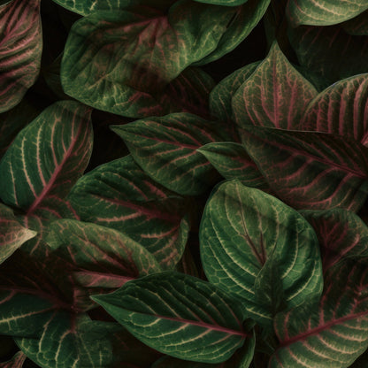 Nature Texture Pattern 5 Minky Fabric