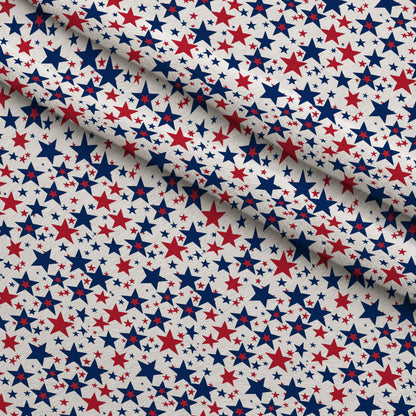 Patriotic Pattern 19 Minky Fabric