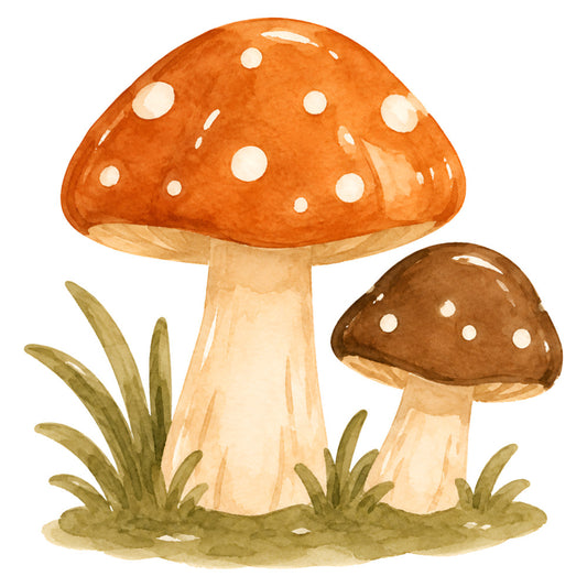 mushroom, toadstool, red orange, cream white, sage green, nature, woodland, forest, whimsical, fairy tale, storybook, grass, botanical, autumn, fall, cottage core, rustic, children's, kids, magical, enchanted, spotted, polka dot, illustrated, watercolor, garden, nature themed, seasonal