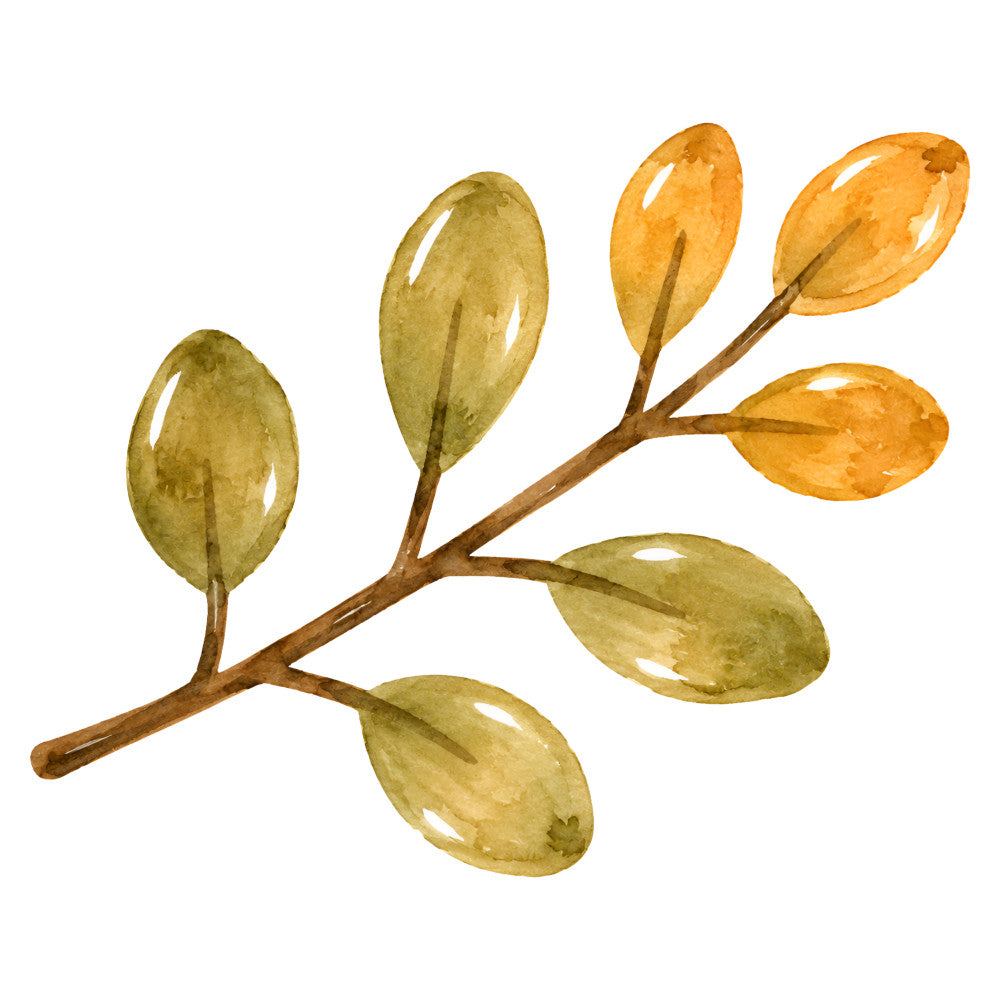 golden yellow, olive green, sage green, cream, botanical, leaves, nature, autumn, fall, watercolor, elegant, sophisticated, organic, natural, branch, foliage, transitional style, home decor, apparel, earthy tones, muted colors, botanical illustration, decorative, seasonal, harvest, minimalist, serene
