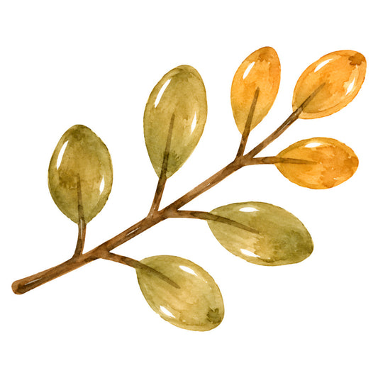 golden yellow, olive green, sage green, cream, botanical, leaves, nature, autumn, fall, watercolor, elegant, sophisticated, organic, natural, branch, foliage, transitional style, home decor, apparel, earthy tones, muted colors, botanical illustration, decorative, seasonal, harvest, minimalist, serene