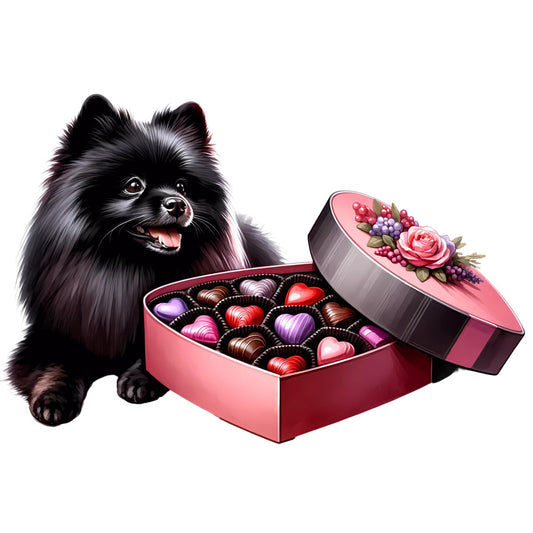 black pomeranian, dog, fluffy dog, chocolate box, heart-shaped box, pink, rose pink, burgundy, chocolate brown, floral, roses, romantic, valentine's day, love, sweet treats, candy, whimsical, cute animals, pet lover, gifts, elegant, feminine, purple grapes, decorative ribbon, spring, luxury, celebration, heart motifs