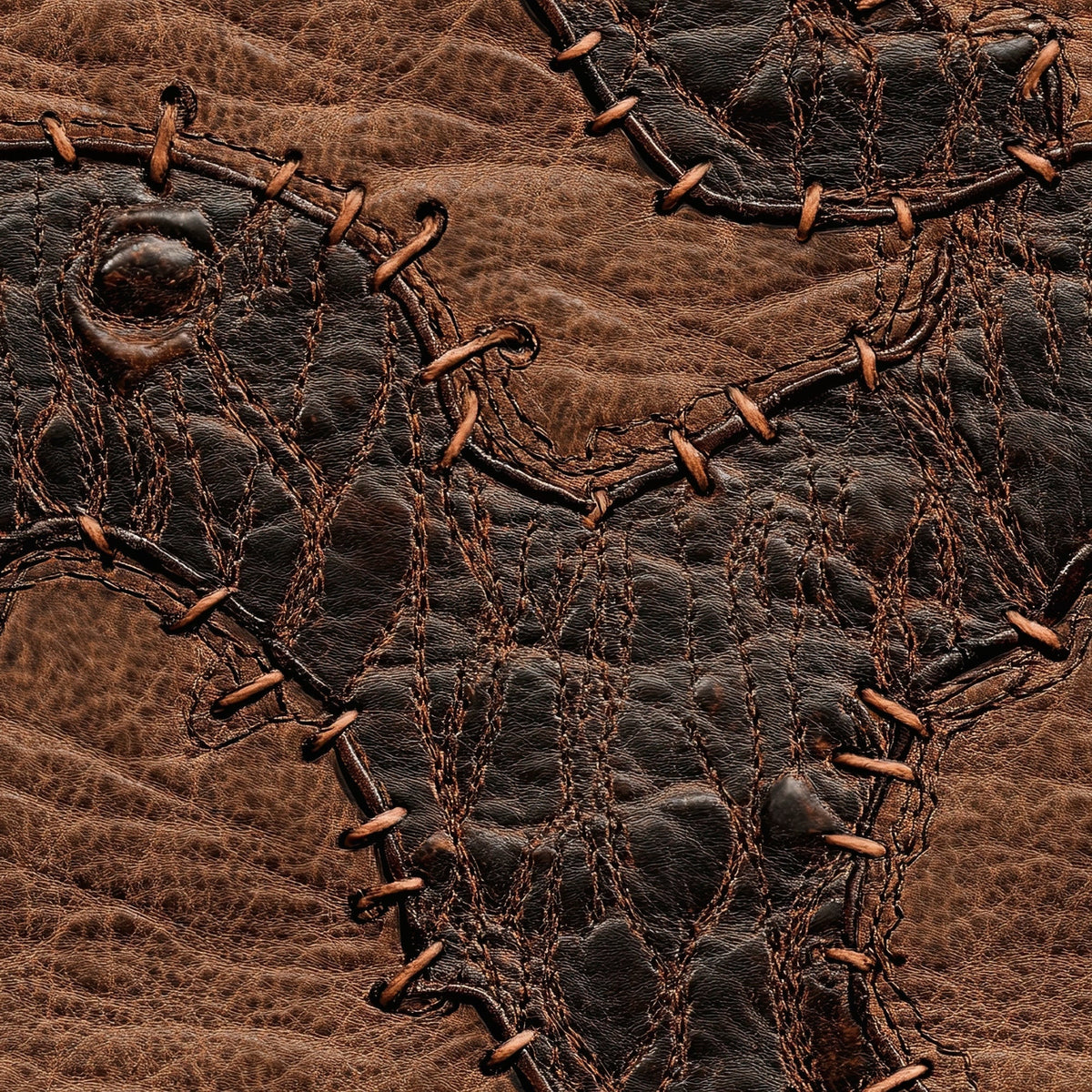 Rodeo Ranch Pattern 61 Minky Fabric