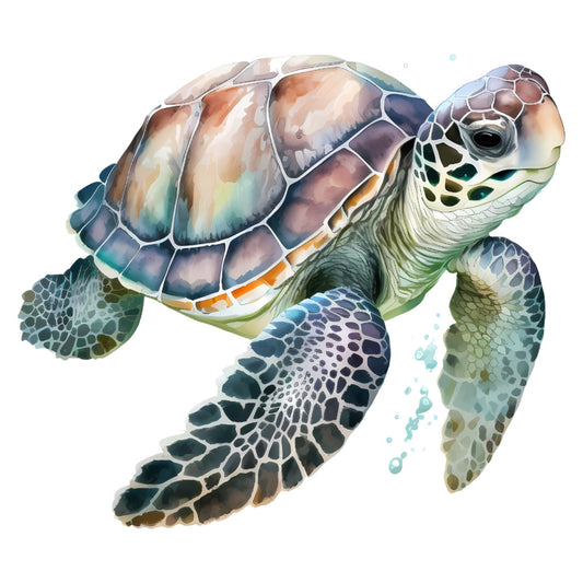 sea turtle, ocean, aquatic, marine life, watercolor, coastal, beach, blue, teal, green, cream, tan, coral, purple, whimsical, artistic, nature, wildlife, tropical, summer, realistic illustration, detailed, swimming, underwater, tortoise, painted effect, gentle, serene, nautical theme