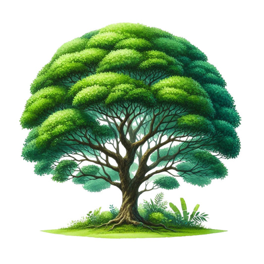 lime green, forest green, sage green, nature, trees, botanical, landscape, tree of life, natural, organic, peaceful, serene, earthy, spring, summer, whimsical, garden, lush foliage, illustrated, artistic, detailed, realistic, environmental, eco-friendly, wall art, home decor, panel print, nature lovers, woodland, green living
