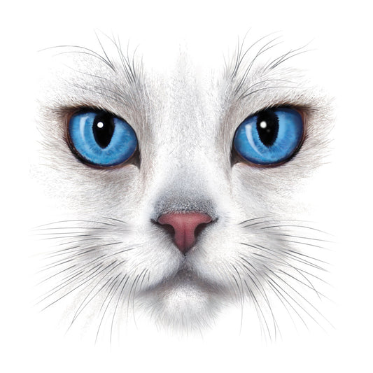 white cat, blue eyes, cat face, feline, animal portrait, cat lover, pet themed, nature, cat motif, realistic, detailed, striking eyes, sapphire blue, white fur, whiskers, close-up portrait, wildlife, cat enthusiast, contemporary, modern animal, cat art, domestic animals, cat print, eye-catching, vibrant blue, whimsical, decorative panel, cat panels